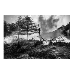 Fluorine Free Foam is totally free of Fluoro – Organic compounds.